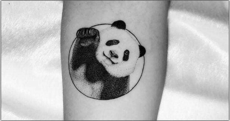 Tatouages de pandas : Symbolisme, significations et plus