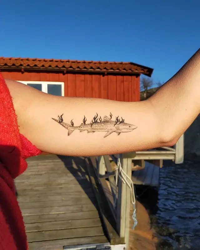 Le tatouage de requin-tigre brûlant